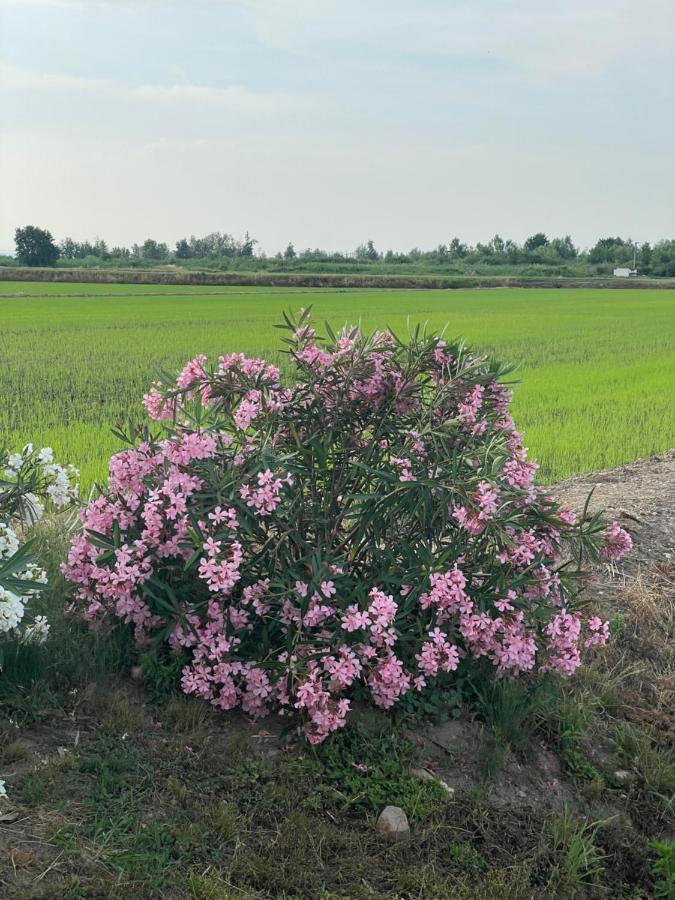 Tenuta Favorita Country House B&B Fontanetto Po ภายนอก รูปภาพ