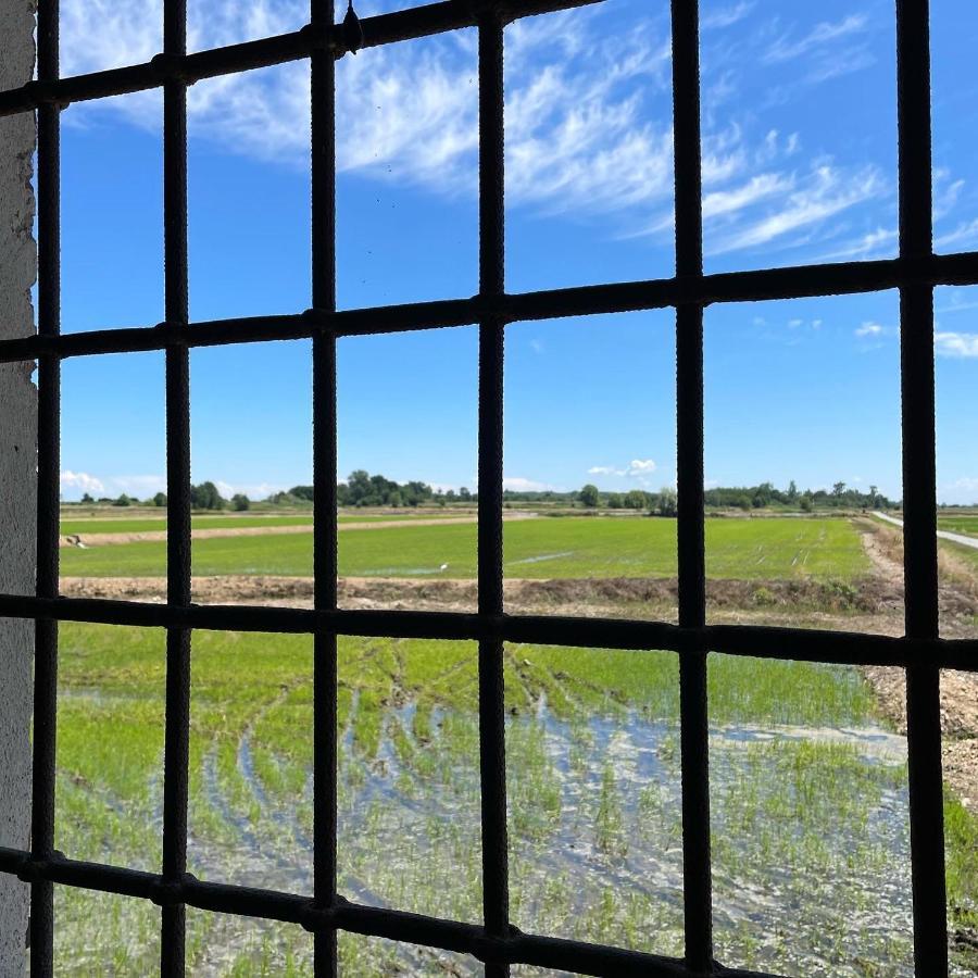 Tenuta Favorita Country House B&B Fontanetto Po ภายนอก รูปภาพ